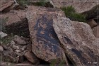 Bradford Ruin