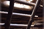 Three Kiva Pueblo