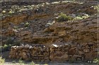 Nefertiti Rock Petroglyphs