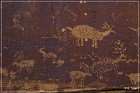 Nefertiti Rock Petroglyphs
