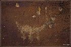 Nefertiti Rock Petroglyphs