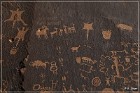 Newspaper Rock
