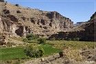 Cottonwood Canyon