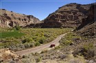 Cottonwood Canyon