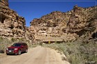 Cottonwood Canyon