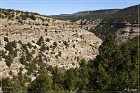 Cottonwood Canyon