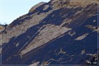 Price River &#38; Green River Petroglyphs
