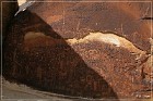 Rochester Creek Rock Art Panel