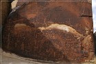 Rochester Creek Rock Art Panel