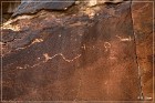 Rochester Creek Rock Art Panel