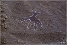 Black Dragon Canyon Pictographs