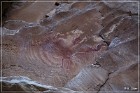 Black Dragon Canyon Pictographs