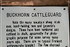 Buckhorn Cattleguard Petroglyphs