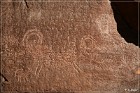 Buckhorn Cattleguard Petroglyphs
