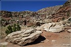 Cedar Mountain Petroglyph Sites