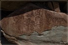 Cedar Mountain Petroglyph Sites