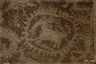 Cedar Mountain Petroglyph Sites