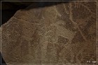 Cedar Mountain Petroglyph Sites