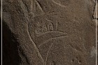Cedar Mountain Petroglyph Sites