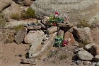 Cedar Mountain Petroglyph Sites