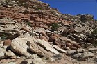 Cedar Mountain Petroglyph Sites