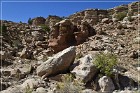 Cedar Mountain Petroglyph Sites