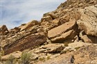 Molen Reef Petroglyphs