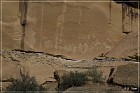 Sego Canyon Pictographs