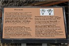 Sego Canyon Pictographs