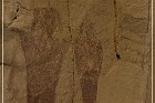 Sego Canyon Pictographs