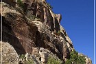 Shay Canyon Petroglyphs