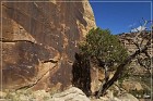 Shay Canyon Petroglyphs