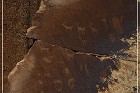 Shay Canyon Petroglyphs