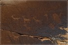 Shay Canyon Petroglyphs