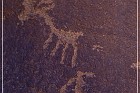 Shay Canyon Petroglyphs