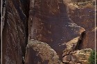 Shay Canyon Petroglyphs