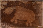 Shay Canyon Petroglyphs