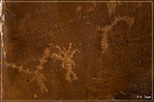 Shay Canyon Petroglyphs