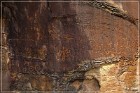 Shay Canyon Petroglyphs