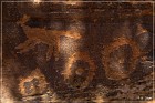 Shay Canyon Petroglyphs