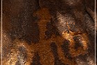 Shay Canyon Petroglyphs