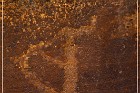 Shay Canyon Petroglyphs