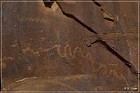 Shay Canyon Petroglyphs
