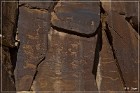 Shay Canyon Petroglyphs