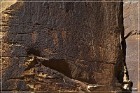 Shay Canyon Petroglyphs