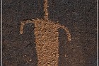Shay Canyon Petroglyphs