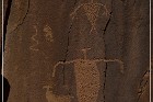 Shay Canyon Petroglyphs