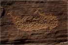 Shay Canyon Petroglyphs