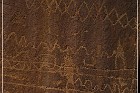 Shay Canyon Petroglyphs