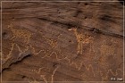 Shay Canyon Petroglyphs